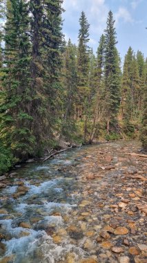 Johnston Kanyonu, Banff Ulusal Parkı, Alberta, Kanada Ağustos 2024