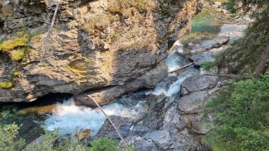 Johnston Kanyonu, Banff Ulusal Parkı, Alberta, Kanada Ağustos 2024