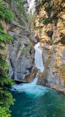 Banff Ulusal Parkı 'ndaki Johnston Kanyonunda Şelale