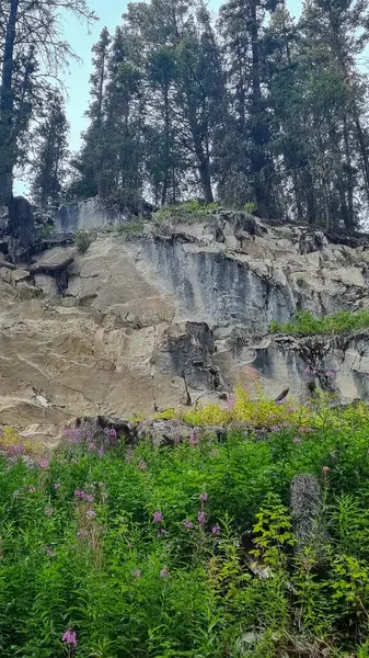 Johnston Kanyonu, Banff Ulusal Parkı, Alberta, Kanada Ağustos 2024