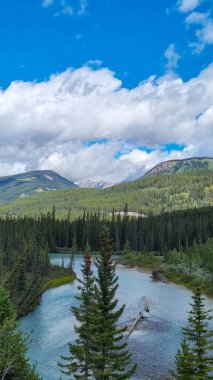 Patricia Lake, Kanada 'nın Alberta kentinde Jasper kenti yakınlarında bulunan bir göldür. Adını Kraliçe Victoria 'nın torunu Connaught Prensesi Patricia' dan almıştır.