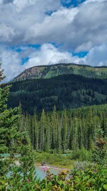 Patricia Lake, Kanada 'nın Alberta kentinde Jasper kenti yakınlarında bulunan bir göldür. Adını Kraliçe Victoria 'nın torunu Connaught Prensesi Patricia' dan almıştır.
