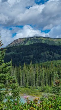 Patricia Lake is a lake in Jasper National Park, Alberta, Canada, near the town of Jasper. It was named for Princess Patricia of Connaught, a granddaughter of Queen Victoria clipart