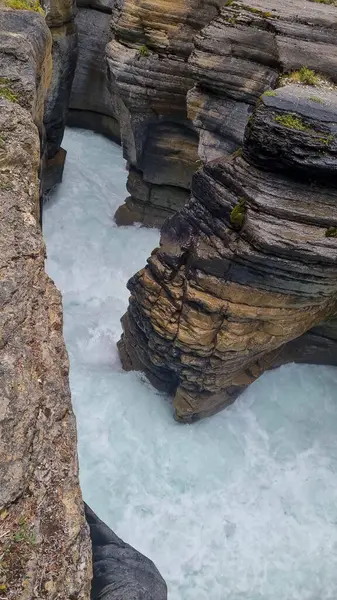 Banff Ulusal Parkı 'ndaki Mistaya Kanyonu, Mistaya Nehri, Alberta, Kanada.