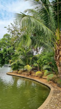 BANGKOK, THAILAND - 29.01.2024: Lumpini Park Bangkok 'taki palmiye ağaçlarının altında bir çiftle Bench