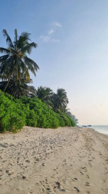 Thoddoo, Maldivler 'deki Thoddu plajı.