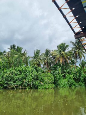Güney Sri Lanka, Matara yakınlarındaki Nilwala nehri boyunca..