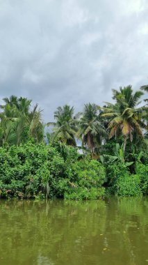 Güney Sri Lanka, Matara yakınlarındaki Nilwala nehri boyunca..