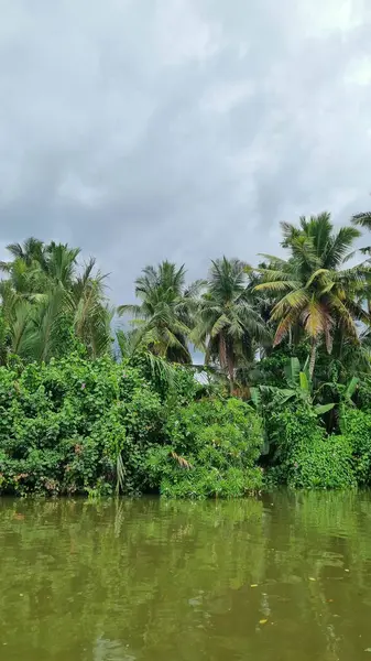 Güney Sri Lanka, Matara yakınlarındaki Nilwala nehri boyunca..
