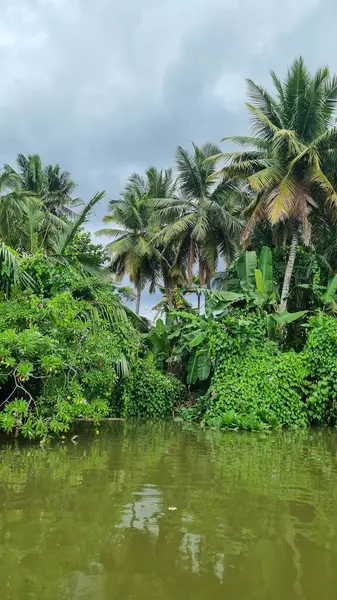 Güney Sri Lanka, Matara yakınlarındaki Nilwala nehri boyunca..