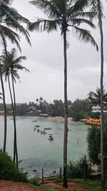 Beach with palm trees and blue water