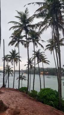 Beach with palm trees and blue water