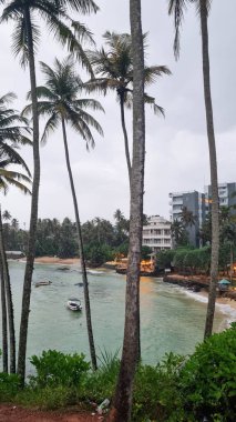 Beach with palm trees and blue water