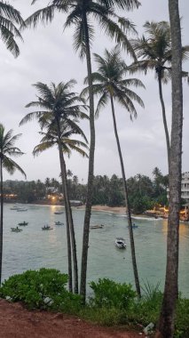 Beach with palm trees and blue water