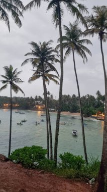 Beach with palm trees and blue water