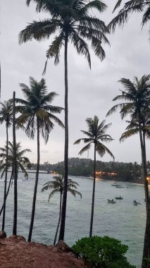 Beach with palm trees and blue water
