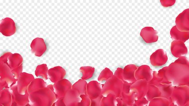 Sevgililer Günü poster tasarımı ve kalpli şablonlar. Kırmızı gül yaprakları soyut çiçek arkaplanına dökülecek. Sevgililer günün kutlu olsun. Kalpli poster tasarımı ve şablonu..