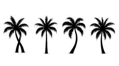 Palmiye ağaçlarının siluetleri yaz seti. Beyaz arka planda izole edilmiş palmiye ağaçları. Bir palmiye ağacının siyah siluetleri, izole edilmiş bir palmiye ağacının silueti.