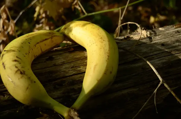 Banana Close Diferentes Ângulos — Fotografia de Stock