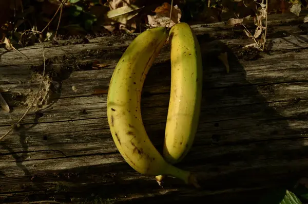 Bananenclose Vanuit Verschillende Hoeken — Stockfoto