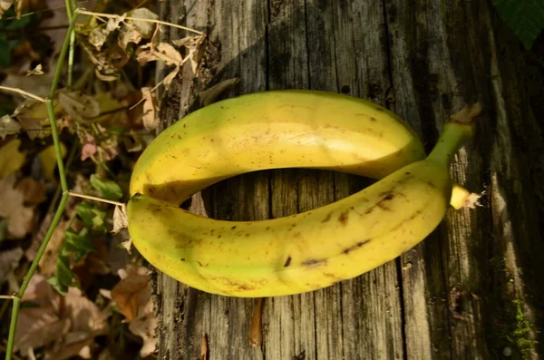 Banana Close Different Angles — Stock Photo, Image