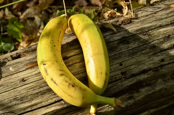 Banana Close Diferentes Ângulos — Fotografia de Stock