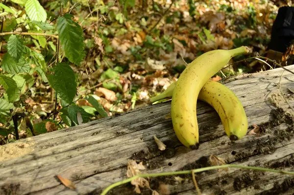 Banana Chão — Fotografia de Stock