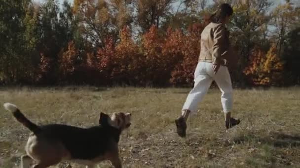 快乐的女人和她的小猎犬玩 在公园里跑运动健康快乐家庭孩子梦想的概念 在公园里奔跑的小猎犬 — 图库视频影像