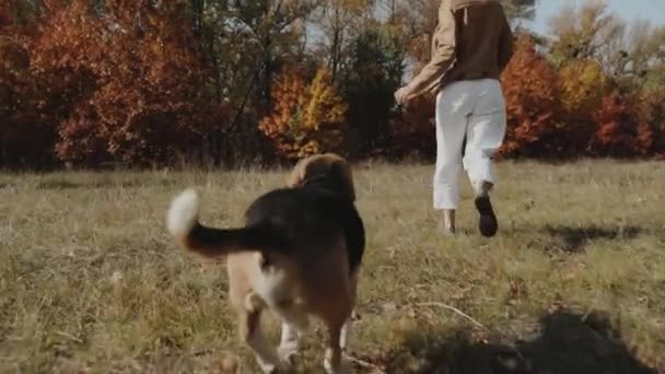 快乐的女人和她的小猎犬玩 在公园里跑运动健康快乐家庭孩子梦想的概念 小猎犬在公园里的大自然中奔跑 Kyiv 2019慢动作 — 图库视频影像