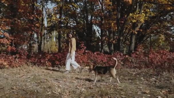 在公园遛狗的女人和宠物愉快地散步 一个女孩和一只狗在秋天的公园里散步 比格尔秋天 慢动作Kyiv 2019慢动作 优质Fullhd影片 — 图库视频影像