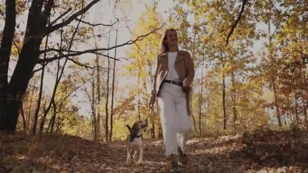 Menina Cão Beagle Andando Caminhada Alegre Com Animal Estimação Outono — Vídeo de Stock