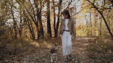 Kız ve av köpeği yürüyor. Evcil hayvanla neşeli bir yürüyüş. İnsanlar ve parkta yürüyen bir köpek. Beagle. Ağır çekim. Kyiv 2019 Yavaş Hareket 120