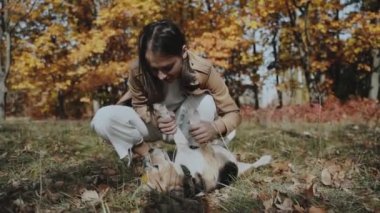 Çimenli çimenlerde köpeğiyle oynayan bir kız. Köpek uzanıyor ve top oynuyor. Beagle. Köpek insanın en iyi dostudur, hayvanları sever. Ağır çekim. Yüksek kaliteli FullHD görüntüler