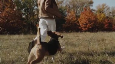 Mutlu kadın av köpeğiyle oynuyor. Parkta koşmak. Spor sağlık mutlu aile çocuk rüya konsepti. Parkta koşan bir av köpeği.