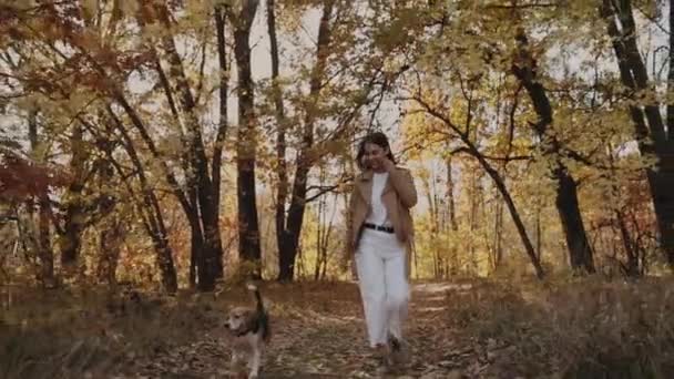 Девушка Выгуливаемая Собака Весёлая Прогулка Домашним Животным Люди Собака Гуляют — стоковое видео