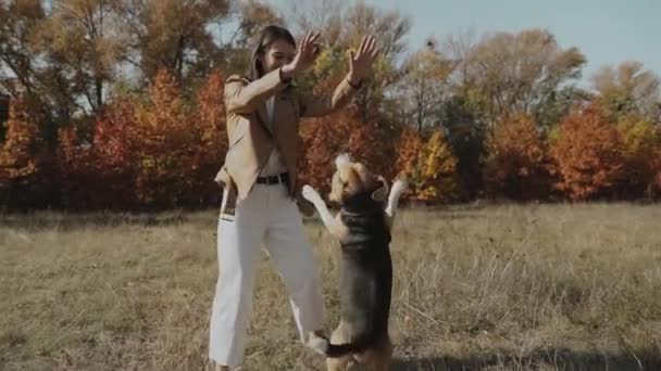 一个漂亮的女孩在训练一只狗 小猎犬站在后腿上跳了起来 比格尔秋天的概念 狗是人类最好的朋友 爱动物 Kyiv 乌克兰2019 — 图库视频影像