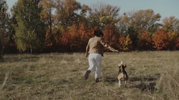 幸せな女性は彼女のビーグル犬と遊ぶ 公園を走る ビーグルだ スポーツ健康幸せな家族の子供の夢のコンセプト 公園内で自然の中を走るビーグル スローモーション — ストック動画