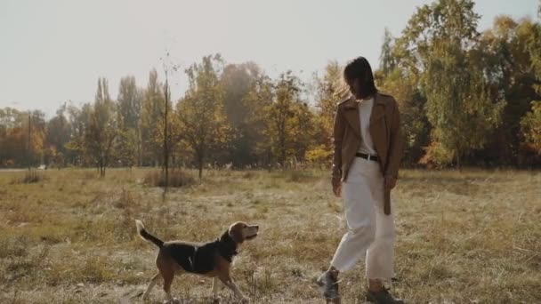 Mädchen Und Ein Beagle Hund Beim Gassigehen Fröhlicher Spaziergang Mit — Stockvideo