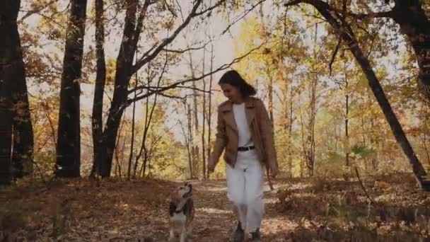 Ένα Κορίτσι Και Ένας Σκύλος Περπατάνε Χαρούμενη Βόλτα Κατοικίδιο Ζώο — Αρχείο Βίντεο