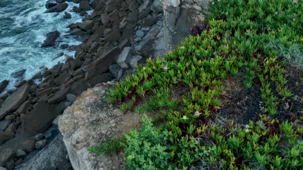 Круті Скелі Тлі Хвиль Атлантичного Океану Португалії Кадри Повільного Руху — стокове відео