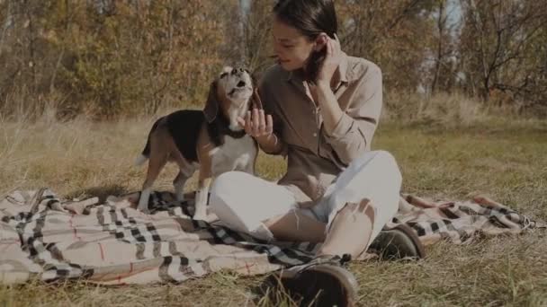 一个女孩坐在长满青草的草坪上 抚摸着她的猎犬狗 最好的朋友概念 狗是人类最好的朋友 对动物的爱 乌克兰 慢动作 — 图库视频影像
