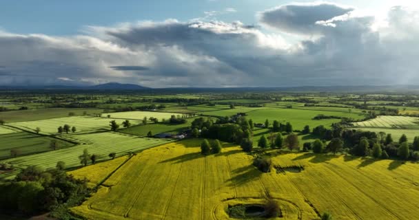 航空摄影 爱尔兰繁茂的田野 黄色和绿色的田野 爱尔兰令人印象深刻的乡村风景 日落云5K — 图库视频影像