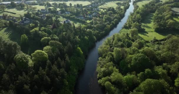 아일랜드 들판에 아름다운 나무들을 공중에서 구경할 수있다 아름다운 곳에서 자연의 — 비디오