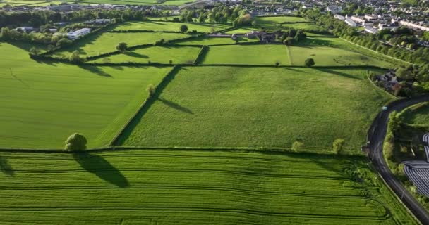 Πράσινα Χωράφια Της Ιρλανδίας Γραφικό Φθινοπωρινό Τοπίο Ηλιόλουστη Μέρα Πράσινο — Αρχείο Βίντεο
