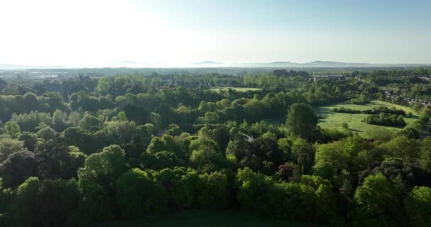 공중에서 아름다운 아일랜드의 나무들 아름다운 곳에서 자연의 일출을 수있습니다 킬케니 — 비디오