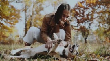 Bir kız çimenlikte bir köpekle oynuyor. Sahibi köpeği okşuyor, pençesinden tutuyor. Beagle. Köpekler insanların en iyi dostudur, hayvanları severler. Ağır çekim. Yavaş çekim 120