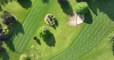 Golf sahası sporu, yeşil çimenler ve golf sahasında ağaçlar, çim sahası ve yeşil üst manzara. İrlanda 'daki golf sahasında kuş bakışı. Yüksek kalite 5 bin görüntü.