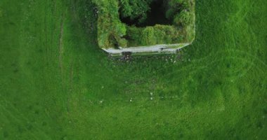 Anglo-Norman Kalesi 'nin kalıntıları, yeşil doğa ve mavi gökyüzünün çevresindeki tarihi kule dairesel manzarası. Grennan Kalesi. Yüksek kalite 5k görüntü