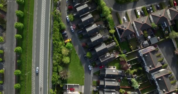 Arial View Beautiful Town Houses Lots Greenery Trees All Imagens — Vídeo de Stock