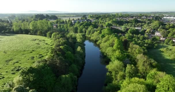 그림같은 나무들 아일랜드의 아름다운 조경을 배경으로 야외에서 킬케니 아일랜드 — 비디오